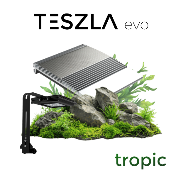 TESZLA evo tropic - Aktionsbundle + Halter