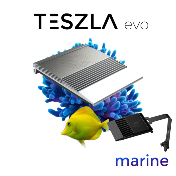 TESZLA evo marine - Aktionsbundle + Halter
